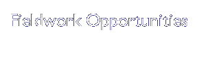 Fieldwork Opportunities